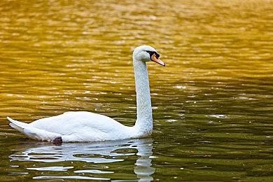 英国实体周榜：蜘蛛侠击败马里奥成功登顶